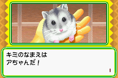 Nakayoshi Pet Advance Series 1 Kawaii Hamster (J)(Chakky) Snapshot