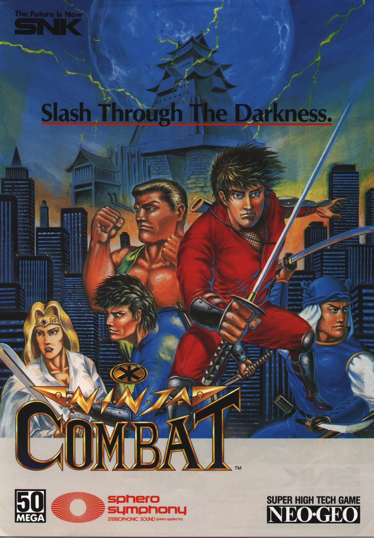 Ninja Combat (NGM-009) flyer