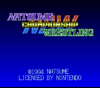 Screenshot Thumbnail / Media File 1 for Natsume Championship Wrestling (USA)