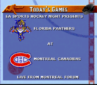Screenshot Thumbnail / Media File 1 for NHL '96 (Europe)