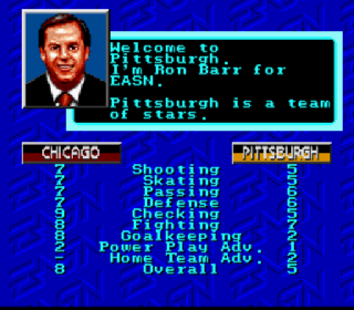 Screenshot Thumbnail / Media File 1 for NHLPA Hockey '93 (USA)
