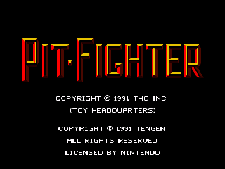 Screenshot Thumbnail / Media File 1 for Pit-Fighter (Europe)