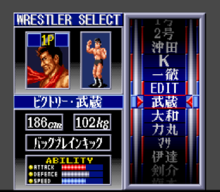 Screenshot Thumbnail / Media File 1 for Super Fire Pro Wrestling III - Final Bout (Japan) (Rev A)