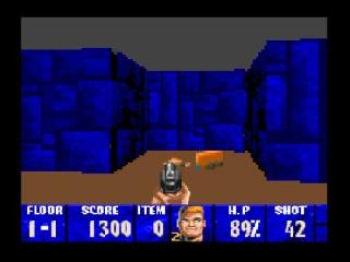 Screenshot Thumbnail / Media File 1 for Wolfenstein 3D (Europe)