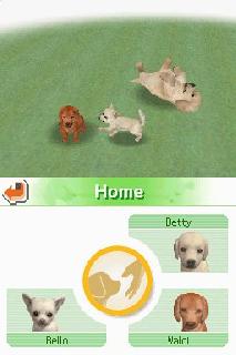 Screenshot Thumbnail / Media File 1 for Nintendogs - Chihuahua & Friends (J)(Brassteroid Team)