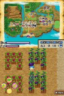Screenshot Thumbnail / Media File 1 for Harvest Moon DS - Island of Happiness (U)(JunkRat)