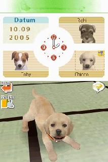 Screenshot Thumbnail / Media File 1 for Nintendogs - Chihuahua & Friends (v01) (J)
