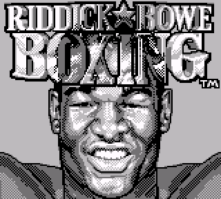 Screenshot Thumbnail / Media File 1 for Riddick Bowe Boxing (USA)