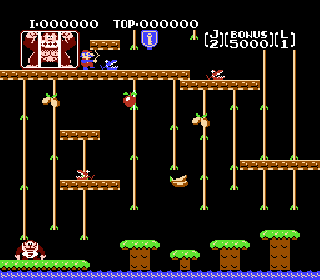 Screenshot Thumbnail / Media File 1 for Donkey Kong Jr. (Japan) (Disk Writer)