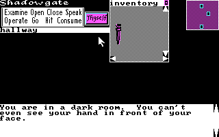 Screenshot Thumbnail / Media File 1 for Shadowgate (1987)(Mindscape Inc)