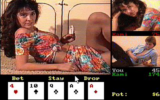 Screenshot Thumbnail / Media File 1 for Strip Poker Professional (1995)(Artworx)