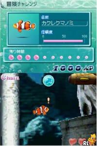 Sakana to Asobou! Aquazone DS - Kaisuigyo (J)(Independent) Screen Shot
