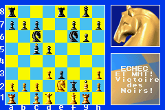 Chessmaster (F)(Patience) Snapshot