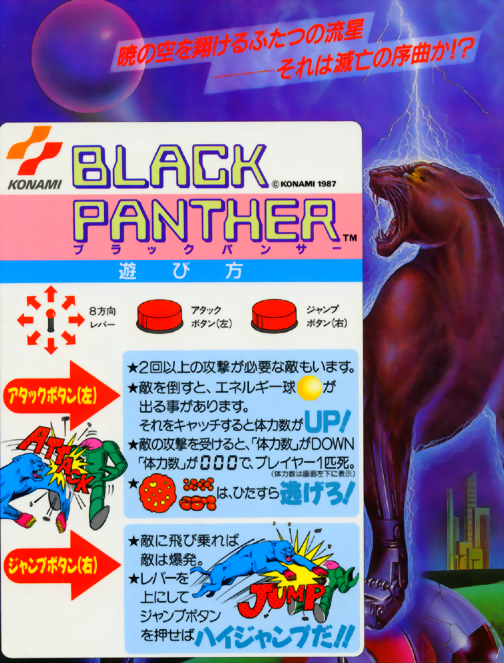 Black Panther flyer