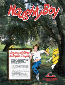 Naughty Boy (Cinematronics) flyer