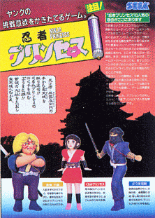 Ninja Princess (315-5051, 64k Ver. bootleg?) flyer