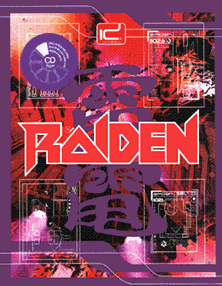 Raiden (Korea) flyer