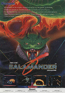 Salamander (version D) flyer