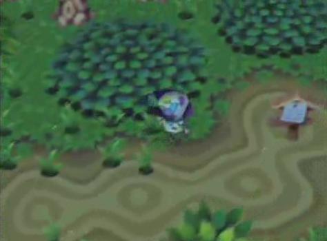 Animal Crossing Gamecube Rom