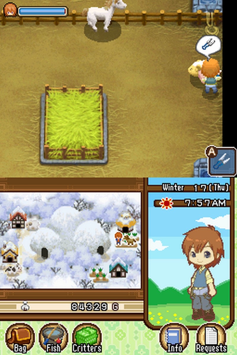 ds harvest moon game