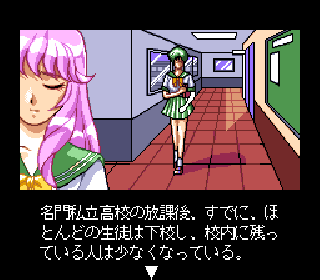 Screenshot Thumbnail / Media File 1 for Shiawase Usagi 2 - Toraware Usagi Sailor Z (NTSC-J)