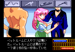 Screenshot Thumbnail / Media File 1 for Shinsetsu Shiawase Usagi 2 (NTSC-J)