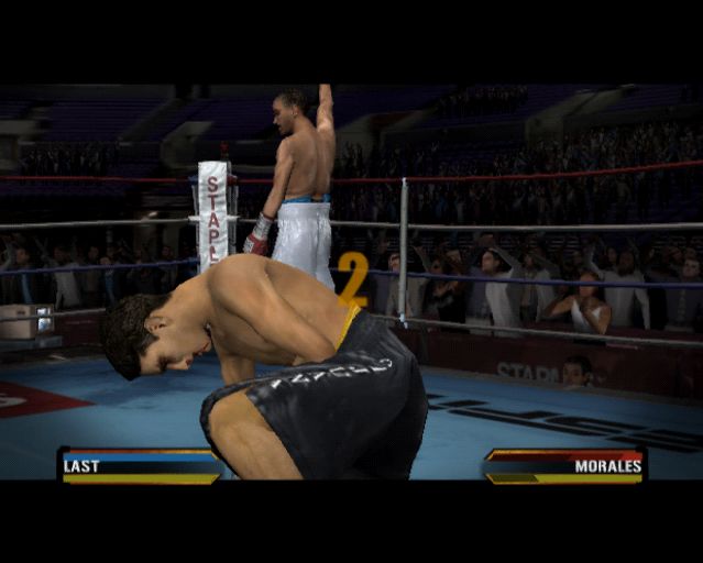 fight night round 3 psp cwcheats