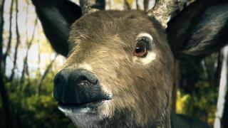 Screenshot Thumbnail / Media File 1 for Cabela's Outdoor Adventures 2010 (USA)