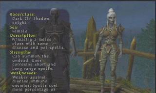 Screenshot Thumbnail / Media File 1 for Champions of Norrath (USA)