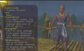 Screenshot Thumbnail / Media File 1 for Champions of Norrath (USA)