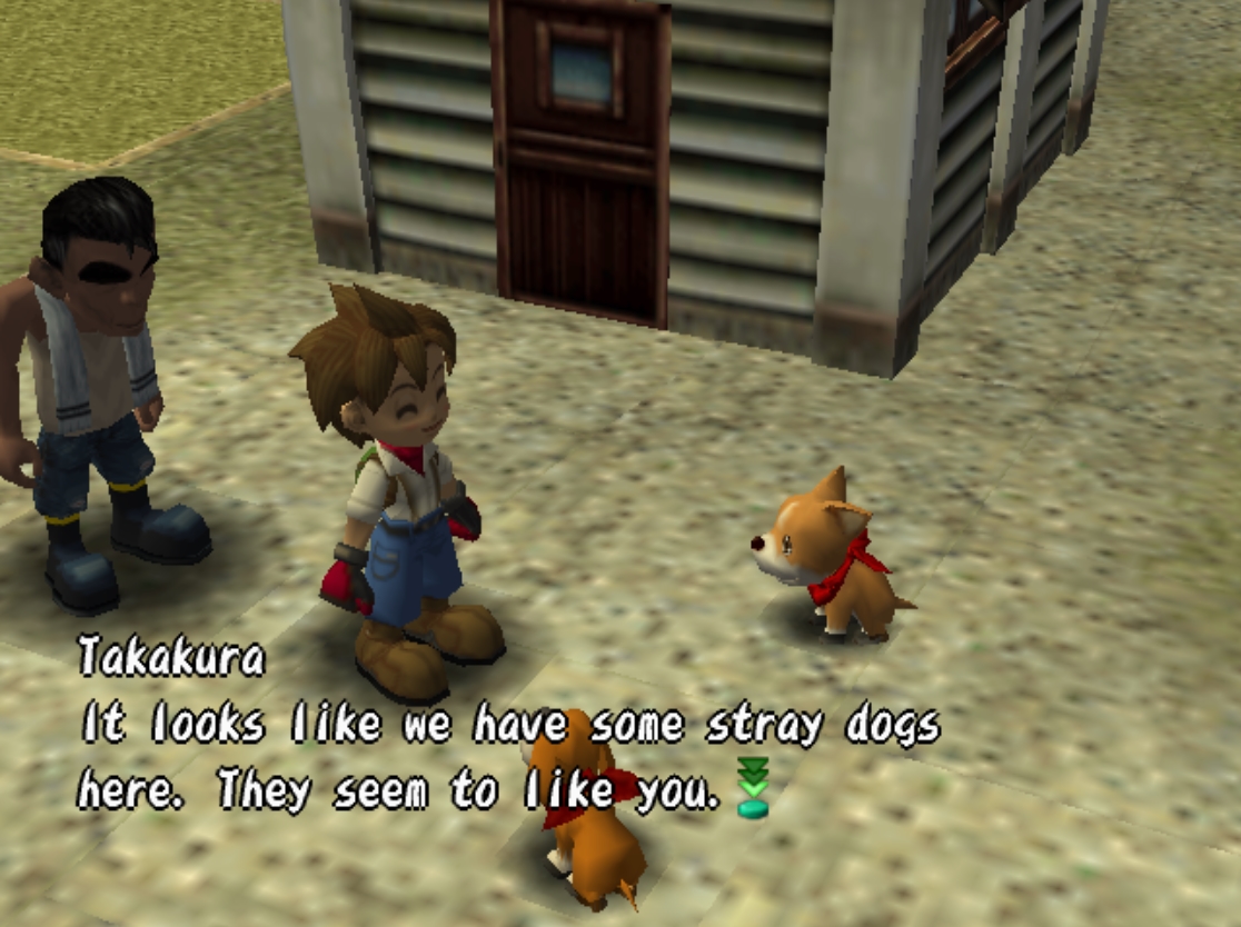 harvest moon ps2