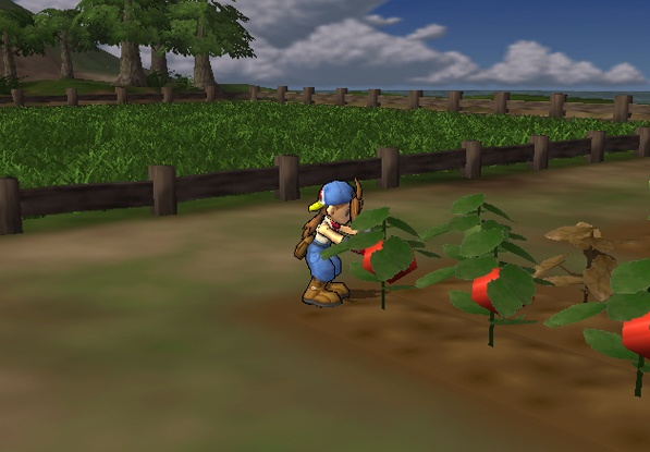 Hasil gambar untuk Harvest Moon - Save the Homeland