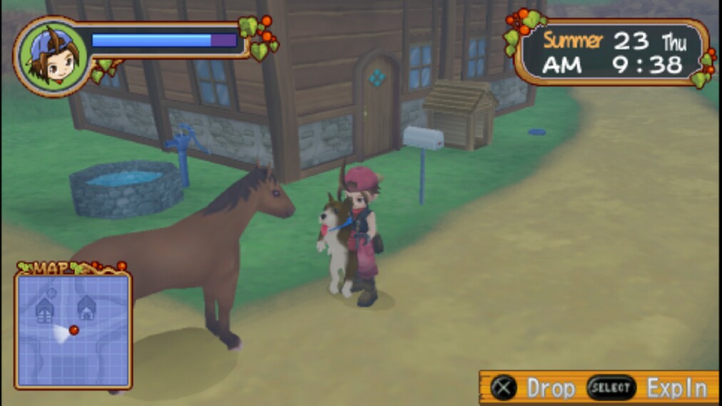 Download cheat harvest moon hero of leaf valley ppsspp ...