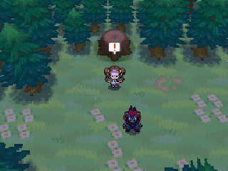 Screenshot Thumbnail / Media File 1 for Pokemon - Version Noire 2 (DSi Enhanced) (F)(frieNDS)