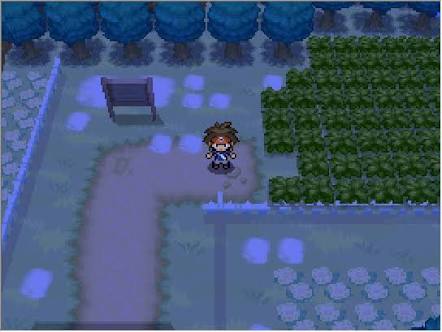 Pokemon Black Version (U) (Patched) ROM < NDS ROMs