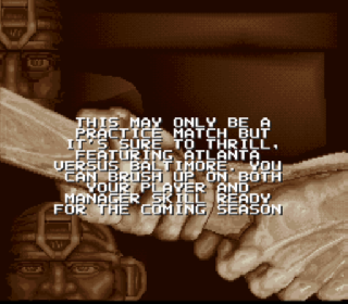 Screenshot Thumbnail / Media File 1 for Cal Ripken Jr. Baseball (USA) (Beta)