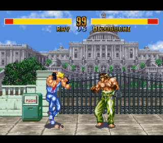 Screenshot Thumbnail / Media File 1 for Fighter's History (USA) (Rev A)
