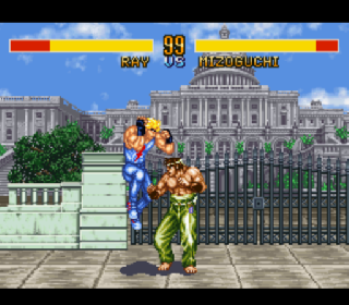 Screenshot Thumbnail / Media File 1 for Fighter's History (USA) (Rev A)