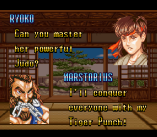 Screenshot Thumbnail / Media File 1 for Fighter's History (USA) (Rev A)