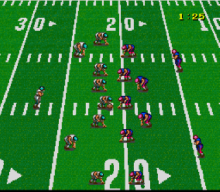 Screenshot Thumbnail / Media File 1 for Football Fury (USA)