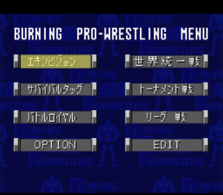 Screenshot Thumbnail / Media File 1 for Gekitou Burning Pro Wrestling (Japan)