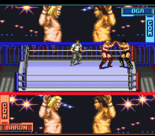 Screenshot Thumbnail / Media File 1 for Hammerlock Wrestling (USA)