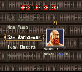 Screenshot Thumbnail / Media File 1 for Hammerlock Wrestling (USA)