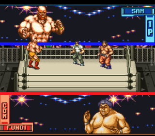 Screenshot Thumbnail / Media File 1 for Hammerlock Wrestling (USA)