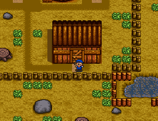 Screenshot Thumbnail / Media File 1 for Harvest Moon (Europe)