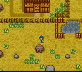 Screenshot Thumbnail / Media File 1 for Harvest Moon (Germany)