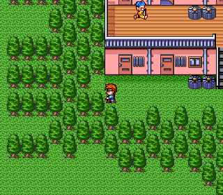 Screenshot Thumbnail / Media File 1 for Love Quest (Japan)
