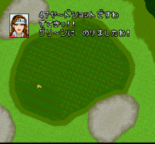 Screenshot Thumbnail / Media File 1 for Namcot Open (Japan)