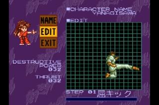 Super Famicom Fighting Games