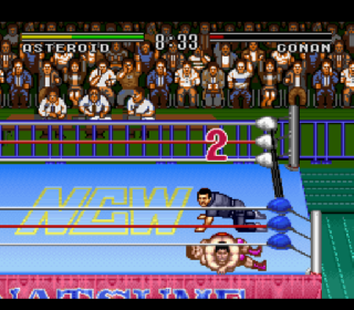 Screenshot Thumbnail / Media File 1 for Natsume Championship Wrestling (USA)